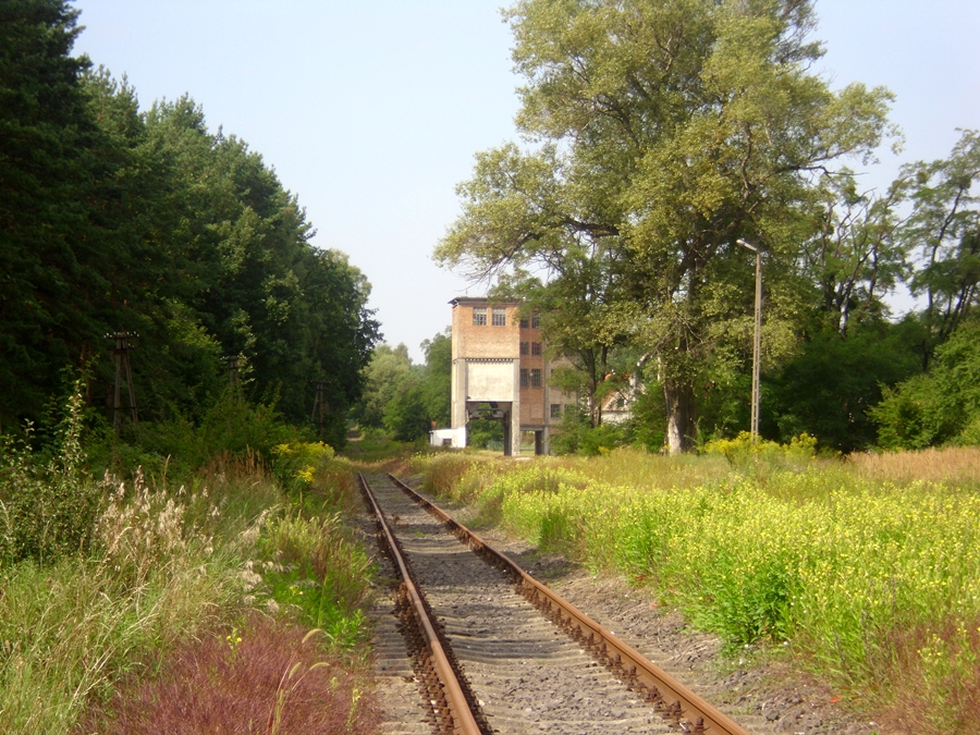 Stacja Sieniawa Lubuska - widok toru stacyjnego
