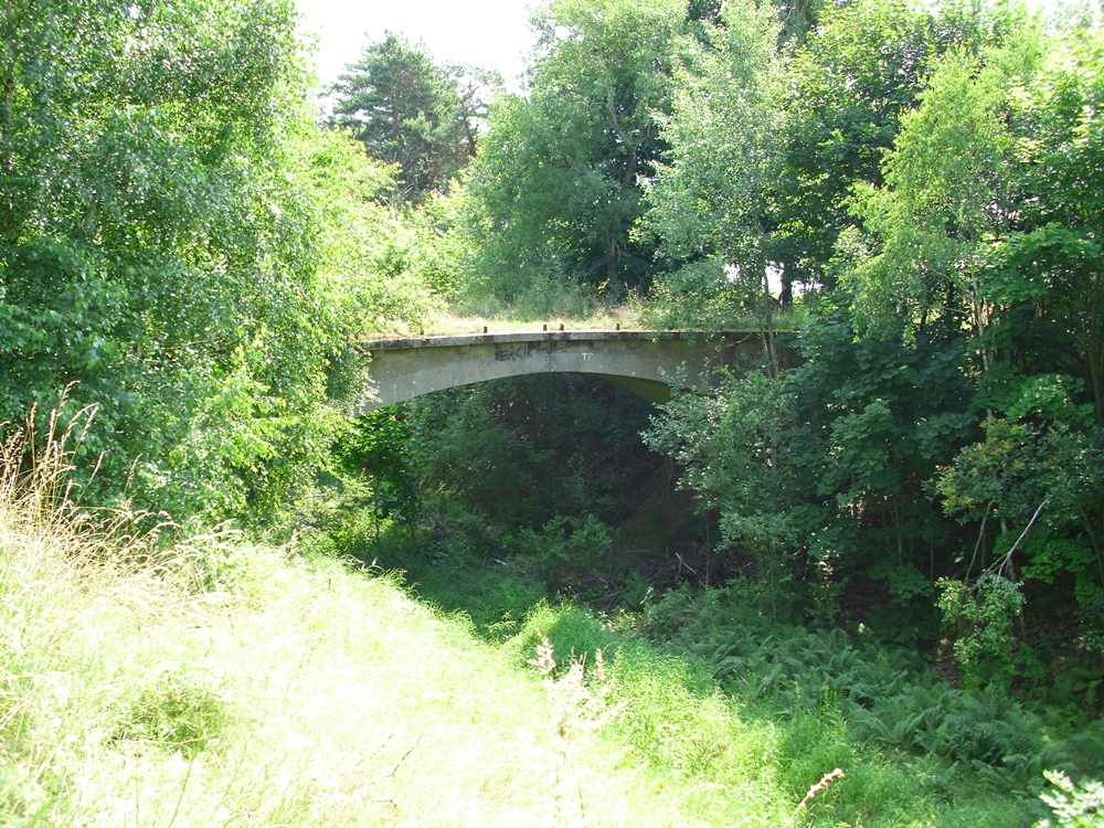 Odcinek Staropole  Sieniawa Lubuska  wiadukt w cigu drogi polnej niedaleko stacji Sieniawa Lubuska